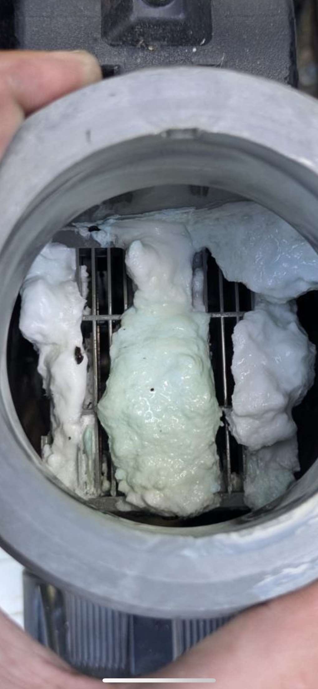 Pool before cleaning